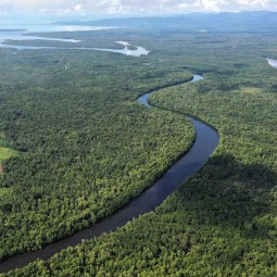 Keindahan Hutan Mangrove di Buton Utara Sulawesi Tenggara