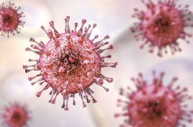 Duh! Pemanasan Global Berpotensi Bangkitkan Virus…