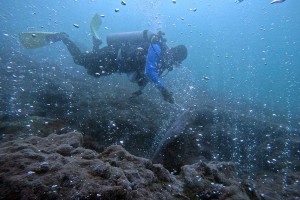 Keindahan Gunung Api Bawah Laut di Kawasan Laut Desa Sirui Aceh