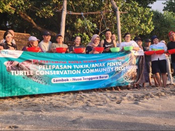 Pertamina Dukung Konservasi Penyu di Pantai Nipah - Lombok