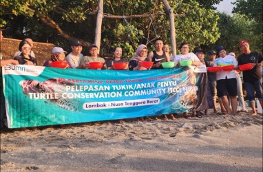 Pertamina Dukung Konservasi Penyu di Pantai Nipah - Lombok