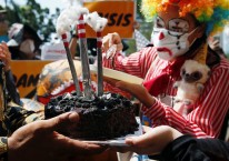 Kue Bancaan Konglomerat di Balik Perdagangan Karbon PLTU