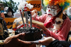 Kue Bancaan Konglomerat di Balik Perdagangan Karbon…