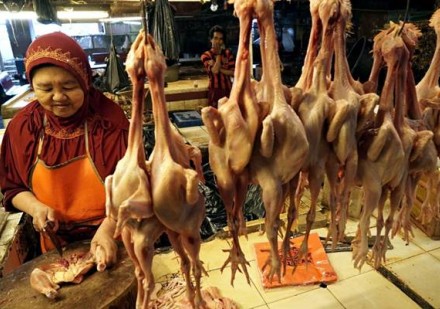 Harga Daging Ayam Meroket, Pemprov Sumsel Imbau Pedagang Jangan Permainankan Harga