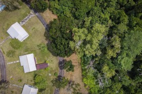 Hari Hutan Sedunia, Ikhtiar PHR Jaga Rimba Raya dan…