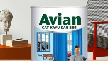 Investor Jumbo yang Ikut Serok Saham Avian (AVIA)