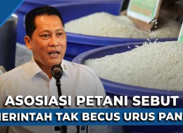 Buwas: Bulog Kekurangan Stok Beras, Makanya Terpaksa Impor