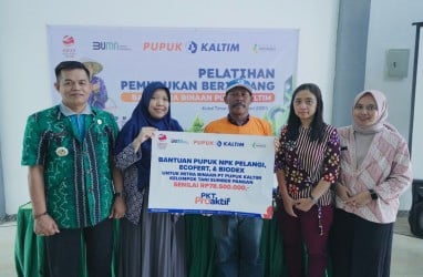 Kembangkan Budi Daya Hortikultura, Pupuk Kaltim Edukasi Petani Binaan Pola Pemupukan Berimbang