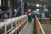 Semen Baturaja (SMBR) Dapat Kredit Berkelanjutan Rp901,42 Miliar