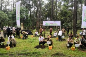 LG Sebar 15.000 Bibit Tanaman di Sumsel
