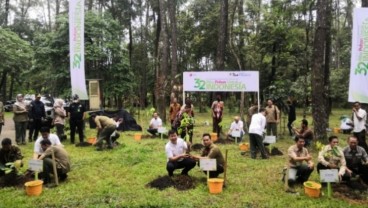 LG Sebar 15.000 Bibit Tanaman di Sumsel