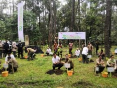 LG Sebar 15.000 Bibit Tanaman di Sumsel