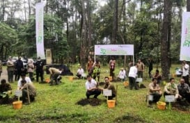 LG Sebar 15.000 Bibit Tanaman di Sumsel