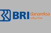 BRI Danareksa Sekuritas Rampungkan Puluhan Penjaminan Emisi Rp80 Triliun