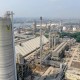 Wamen BUMN Minta Pupuk Indonesia Mulai Produksi Blue & Green Ammonia pada 2030