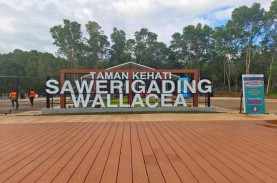 Jokowi Puji Vale (INCO) Rehabilitasi Lahan Bekas Tambang,…