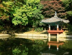 7 Hal yang Perlu Diketahui Sebelum Mengunjungi Korea Selatan