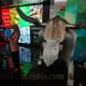 Saham Top Gainers dan Top Losers Sepekan, Emiten Erick Thohir Mahaka Radio (MARI) Masuk Daftar