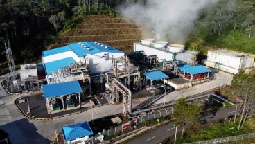 Pertamina Geothermal (PGEO) Dapat Revenue Rp11 Miliar dari Carbon Credit