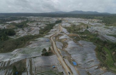 PROYEK LUMBUNG PANGAN : Target Terjal Food Estate