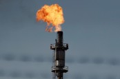 OPEC+ Pangkas Produksi, Harga Minyak Mentah Melambung