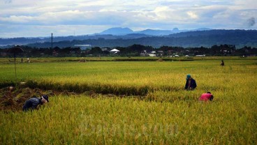 NTP di Jabar Maret 2023 Turun 1,43 Persen, BPS: Masih Aman