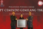 Pendapatan Semen Cemindo (CMNT) Tembus Rp9,69 Triliun pada 2022