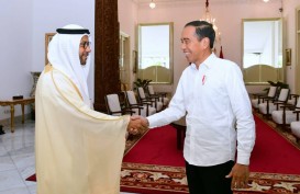 Jokowi Terima Kunjungan Dubes UEA, Ini yang Dibahas