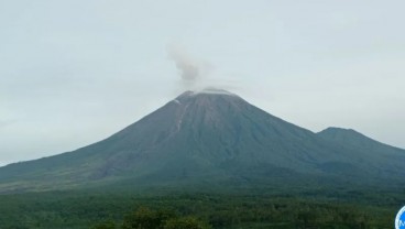 Semeru Alami 14 Kali Gempa Letusan, Aktivitas Warga Dibatasi