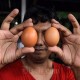 Jokowi Tinjau Harga di Pasar Rawamangun, Pedagang: Telur Turun Rp2.000