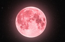 Jangan Lewatkan Fenomena Pink Moon Mulai Malam Ini