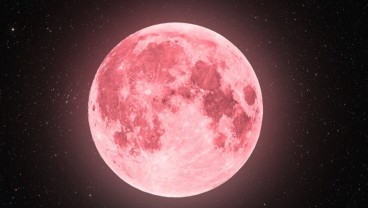 Jangan Lewatkan Fenomena Pink Moon Mulai Malam Ini