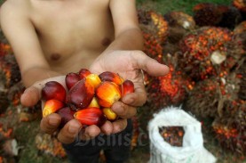 Kinerja Emiten CPO 2022 Terdongkrak Harga Tinggi,…