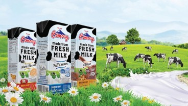 Produsen Yoghurt Cimory (CMRY) Bakal Bagi Dividen Rp555,4 Miliar, Cek Jadwalnya!