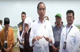 RI Impor Beras 2 Juta Ton, Jokowi: Antisipasi Musim Kering Panjang