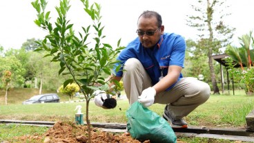 Jaga Ketersediaan Air dan Pelestarian Lingkungan, Pupuk Kaltim Ajak Karyawan Tanam 1.000 Pohon dari Rumah