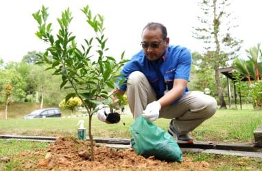 Jaga Ketersediaan Air dan Pelestarian Lingkungan, Pupuk Kaltim Ajak Karyawan Tanam 1.000 Pohon dari Rumah