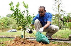 Jaga Ketersediaan Air dan Pelestarian Lingkungan, Pupuk Kaltim Ajak Karyawan Tanam 1.000 Pohon dari Rumah