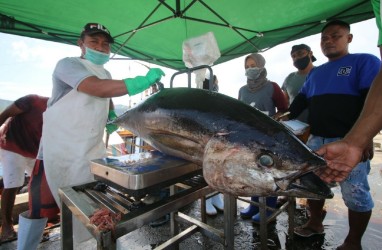 Sumbar Puasa Ekspor Ikan Tuna