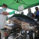 Sumbar Puasa Ekspor Ikan Tuna