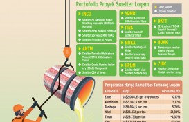 PENGGALANGAN DANA DI PASAR MODAL : Deras Dana Proyek Smelter