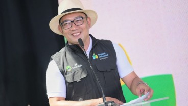 Target Penanaman 50 Juta Pohon Ridwan Kamil Jauh Terlampaui!