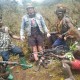 TNI Vs KKB Papua: 30 Anggota TNI Dikabarkan Hilang dan Masih Dicari