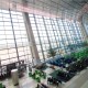 H-4 Lebaran, Arus Lalin Terminal 3 Bandara Soekarno-Hatta Padat