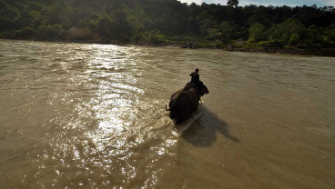 Taman Wisata Alam Seblat di Kabupaten Bengkulu Utara Bina 10 Gajah Jinak