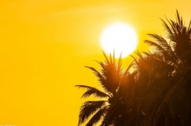 BMKG: Indeks Paparan Sinar UV Hari Ini Ekstrem di…