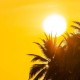 Cuaca Panas Ekstrem, Kenali Jenis Indeks Sinar UV yang Bahaya Bagi Kulit dan Mata