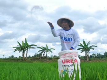 Jokowi Minta Menteri Pertanian Ubah Aturan Pupuk Subsidi