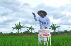 Jokowi Minta Menteri Pertanian Ubah Aturan Pupuk Subsidi