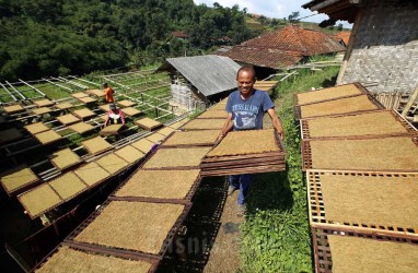 Kebijakan Cukai Rokok Agresif Bikin Penerimaan Turun